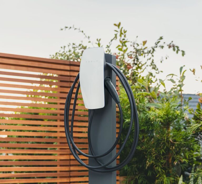 WhatsApp Image 2025-01-17 at 20.39.14