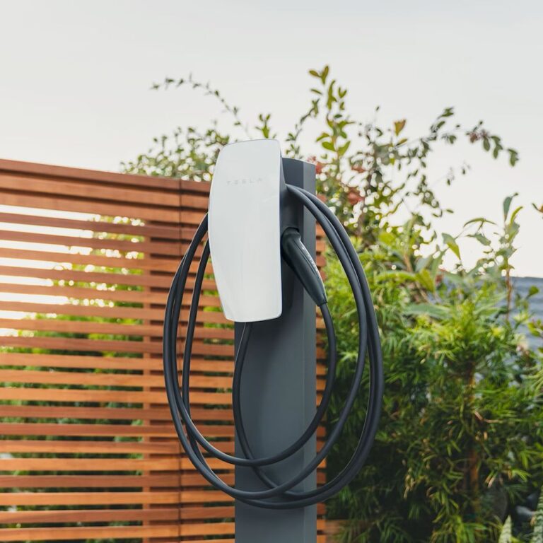 WhatsApp Image 2025-01-17 at 20.39.14